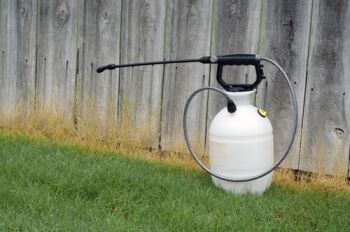 Roundup Weed Killer